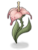 Wild Flower artwork