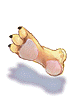 Tiger's Footskin artwork