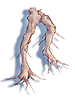 Maneater Root artwork