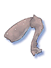 Bug Leg artwork