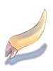 Zenorc's Fang artwork