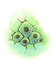 Single Cell artwork