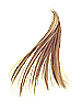 Golden Hair artwork