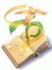Book of Mother Earth artwork