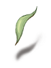 Romantic Leaf artwork