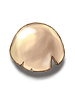 Egg Shell artwork