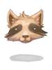 Raccoon Hat artwork