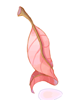 Red Herb artwork