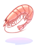 Shrimp artwork