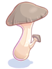Edible Mushroom artwork
