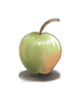 Unripe Apple artwork