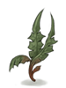 Bitter Herb artwork