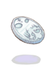 Mithril Coin artwork
