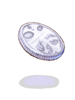 Platinum Coin artwork