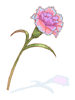 Magic Carnation artwork