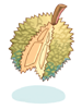 Durian artwork