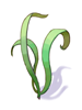 Singing Plant artwork