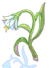 Illusion Flower artwork