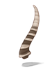 Antelope Horn artwork