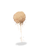 Sand Clump artwork