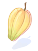 Cacao artwork