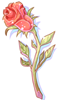 Witherless Rose artwork