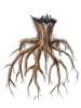 Tree Root artwork