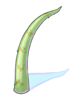 Pointed Scale artwork