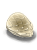 Scale Shell artwork