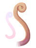 Yoyo Tail artwork