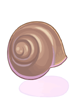 Snail's Shell artwork