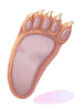 Bear's Footskin artwork