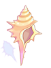 Conch artwork