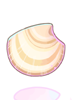 Clam Shell artwork