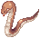 Anacondaq