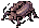 Thief Bug