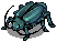 Thief Bug Male