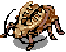 Golden Thief Bug