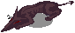 Matyr