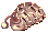 Caterpillar