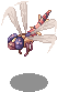 Dragon Tail